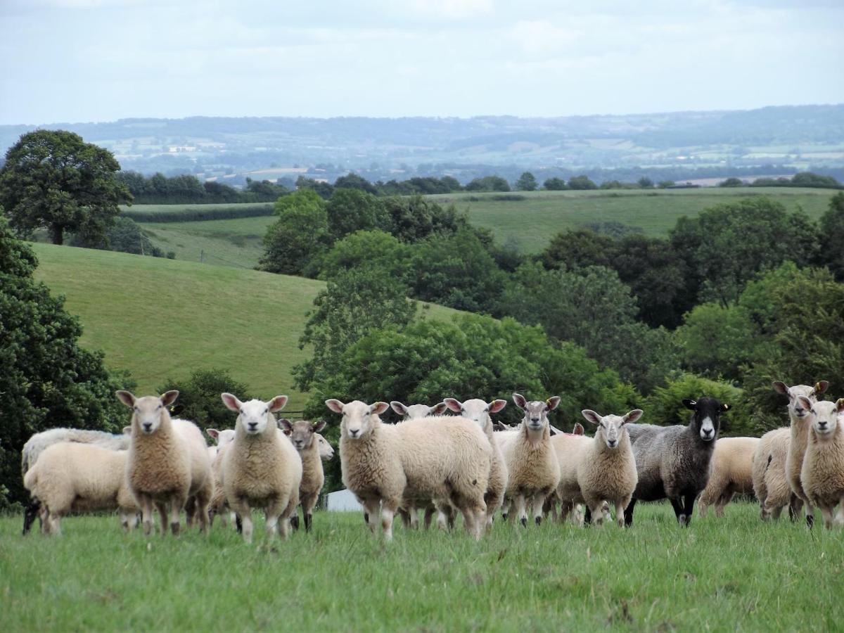 Deepaller Farm Tiverton  Luaran gambar